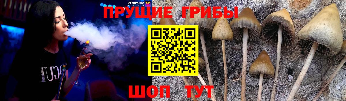где найти наркотики  Вход с VPN  Галлюциногенные грибы Cubensis  Острогожск  Псилоцибиновые грибы прущие грибы 