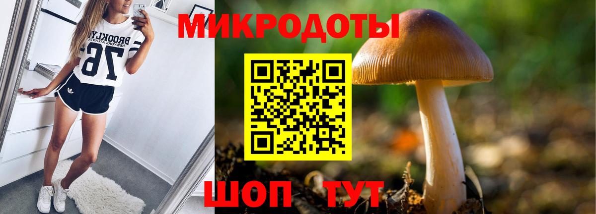 Галлюциногенные грибы Cubensis Острогожск